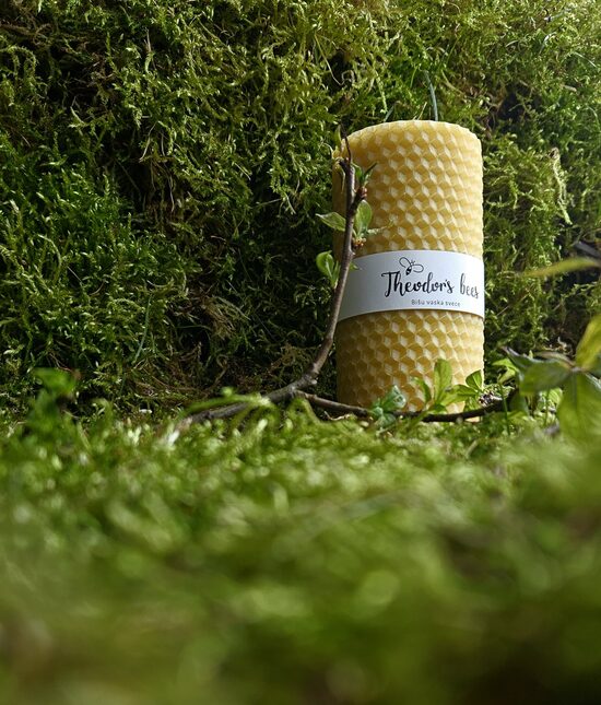  Latvian beeswax candle without dyes with a cherry wood wick.